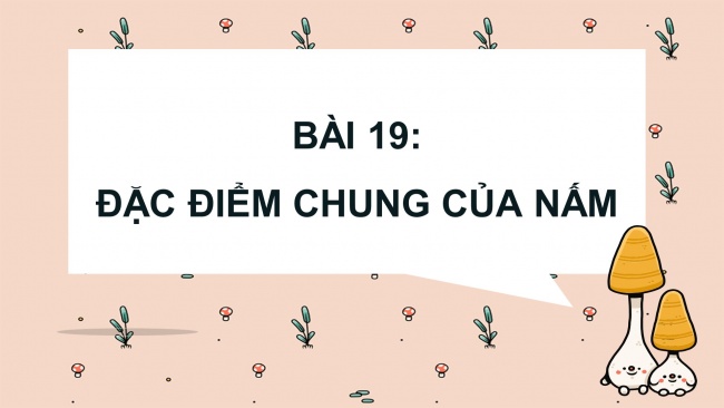 Soạn giáo án điện tử khoa học 4 KNTT Bài 19: Đặc điểm chung của nấm