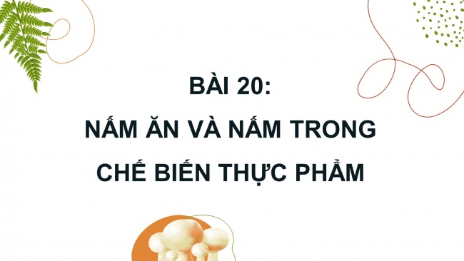 Soạn giáo án điện tử khoa học 4 KNTT Bài 20: Nấm ăn và nấm trong chế biến thực phẩm