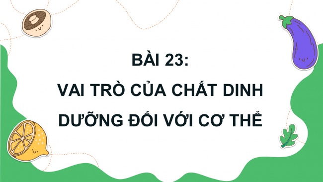 Soạn giáo án điện tử khoa học 4 KNTT Bài 23: Vai trò của chất dinh dưỡng đối với cơ thể