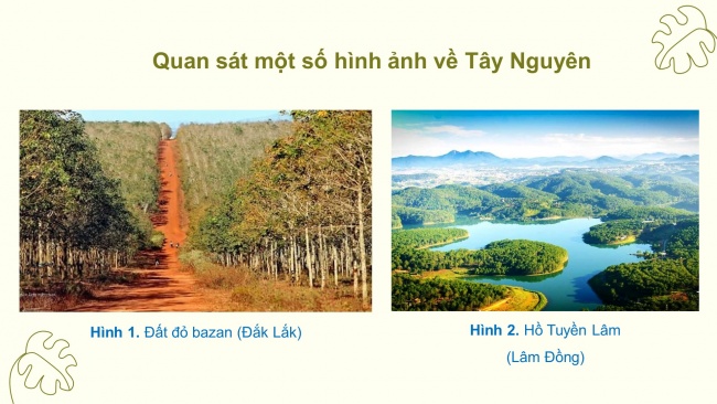 Soạn giáo án điện tử lịch sử và địa lí 4 CTST Bài 19: Thiên nhiên vùng Tây Nguyên