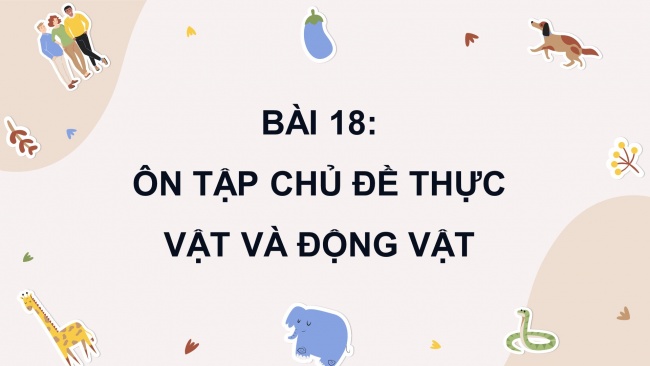 Soạn giáo án điện tử khoa học 4 CTST Bài 18: Ôn tập chủ đề Thực vật và động vật