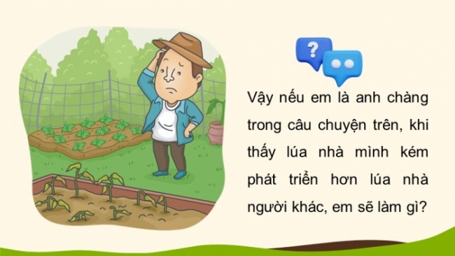 Soạn giáo án điện tử KHTN 8 KNTT Bài 12: Phân bón hoá học