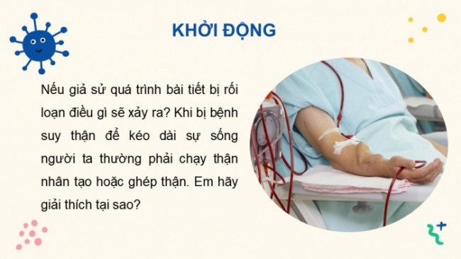 Soạn giáo án điện tử KHTN 8 KNTT Bài 35: Hệ bài tiết ở người