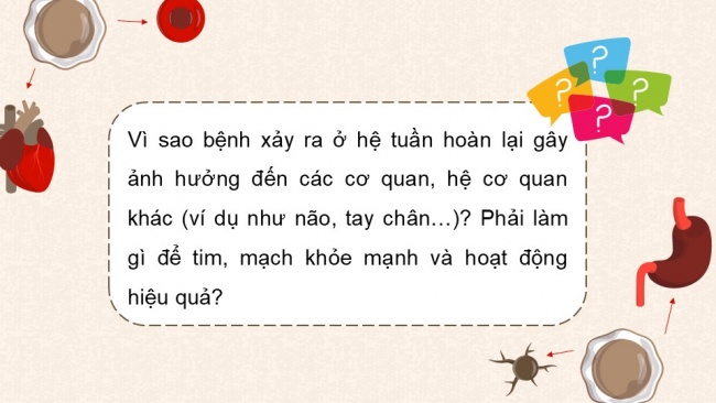 Soạn giáo án điện tử sinh học 11 KNTT Bài 10: Tuần hoàn ở động vật (P1)