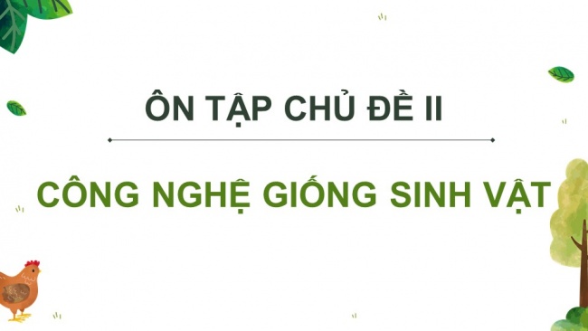 Soạn giáo án điện tử công nghệ chăn nuôi 11 KNTT: Ôn tập chương 2