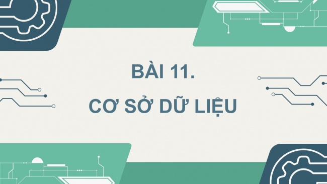 Soạn giáo án điện tử Khoa học máy tính 11 KNTT Bài 11: Cơ sở dữ liệu