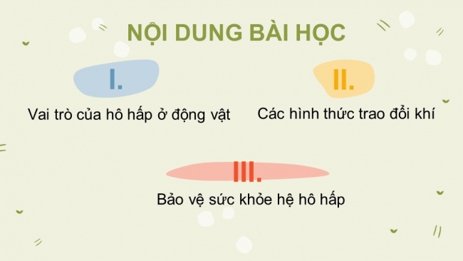 Soạn giáo án điện tử sinh học 11 CTST Bài 9: Hô hấp ở động vật