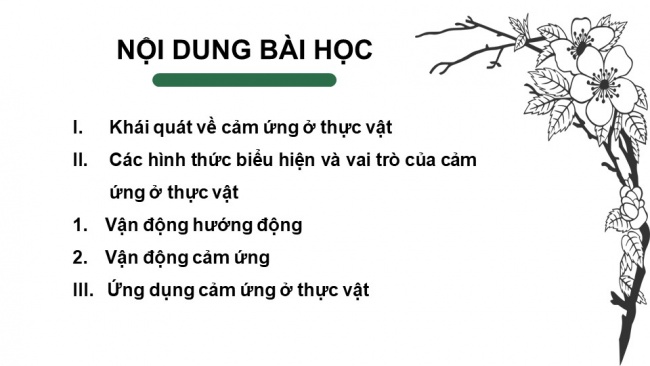 Soạn giáo án điện tử sinh học 11 CTST Bài 15: Cảm ứng ở thực vật