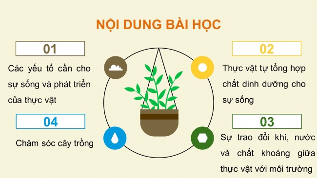 Soạn giáo án điện tử khoa học 4 cánh diều Bài 13: Nhu cầu sống của thực vật và chăm sóc cây trồng (P1)