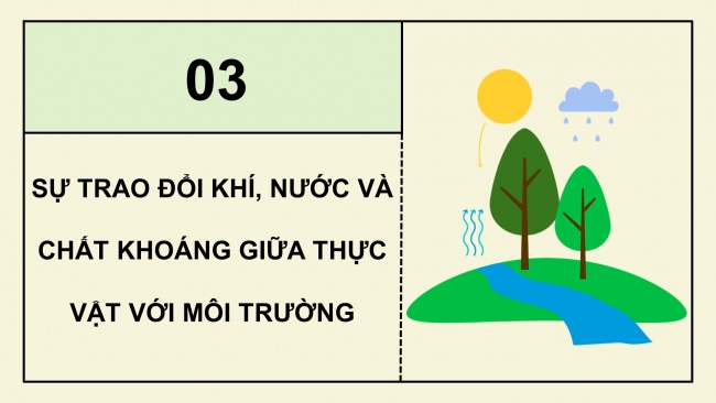 Soạn giáo án điện tử khoa học 4 cánh diều Bài 13: Nhu cầu sống của thực vật và chăm sóc cây trồng (P2)