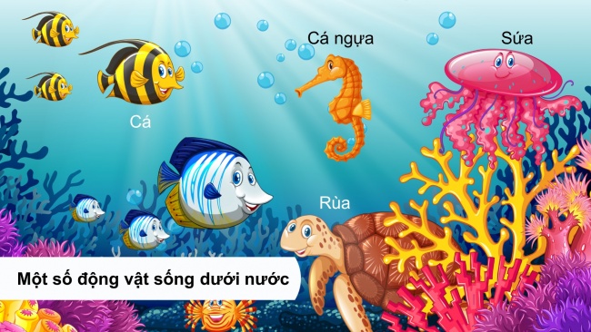 Soạn giáo án điện tử khoa học 4 cánh diều Bài 14: Nhu cầu sống của động vật và chăm sóc vật nuôi (P1)