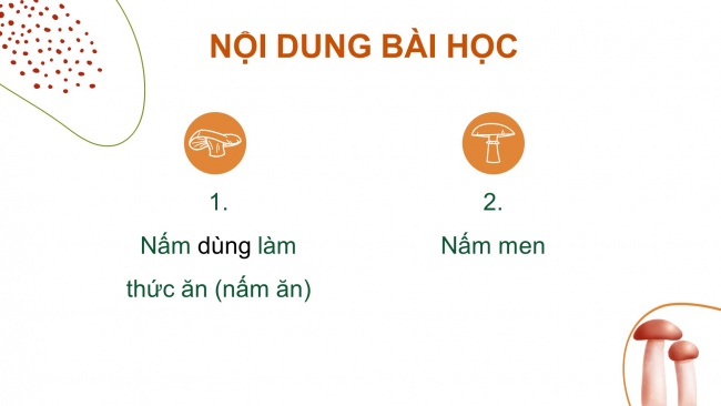 Soạn giáo án điện tử khoa học 4 KNTT Bài 20: Nấm ăn và nấm trong chế biến thực phẩm