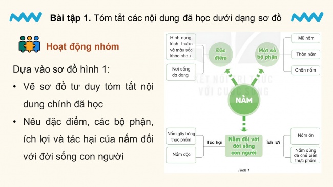 Soạn giáo án điện tử khoa học 4 KNTT Bài 22: Ôn tập chủ đề năm