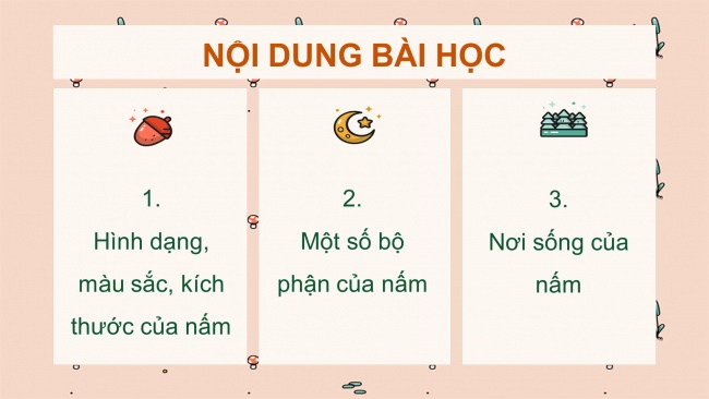 Soạn giáo án điện tử khoa học 4 CTST Bài 19: Sự đa dạng của nấm