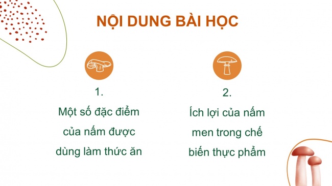 Soạn giáo án điện tử khoa học 4 CTST Bài 20: Nấm ăn và nấm men trong đời sống