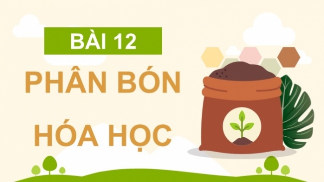 Soạn giáo án điện tử KHTN 8 KNTT Bài 12: Phân bón hoá học