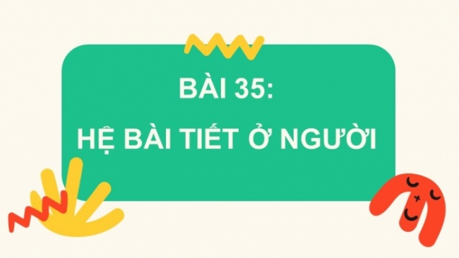 Soạn giáo án điện tử KHTN 8 KNTT Bài 35: Hệ bài tiết ở người