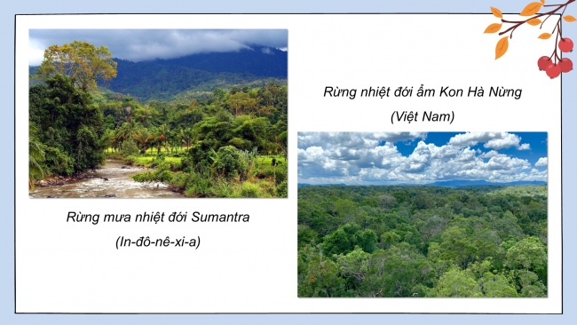 Soạn giáo án điện tử địa lí 11 KNTT Bài 11: Vị trí địa lí, điều kiện tự nhiên, dân cư và xã hội khu vực Đông Nam Á (P2)