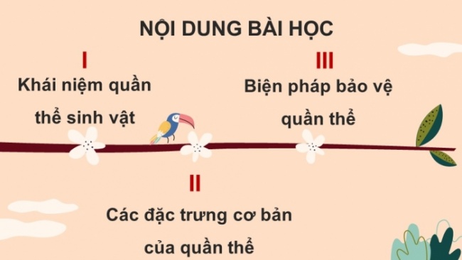 Soạn giáo án điện tử KHTN 8 KNTT Bài 42: Quần thể sinh vật