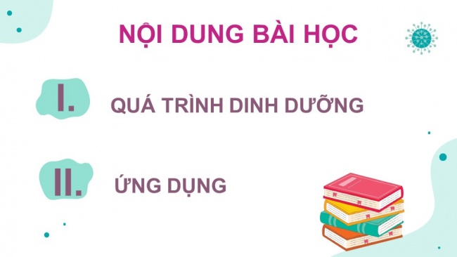 Soạn giáo án điện tử sinh học 11 KNTT Bài 8: Dinh dưỡng và tiêu hóa ở động vật