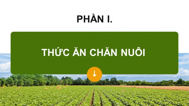 Soạn giáo án điện tử công nghệ chăn nuôi 11 KNTT Bài 7: Thức ăn và nhu cầu dinh dưỡng của vật nuôi