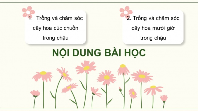 Soạn giáo án điện tử công nghệ 4 cánh diều Bài 6: Trồng và chăm sóc hoa trong chậu