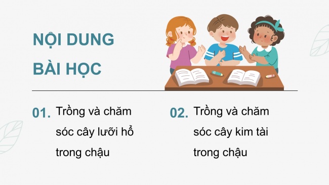 Soạn giáo án điện tử công nghệ 4 cánh diều Bài 7: Trồng và chăm sóc cây cảnh trong chậu