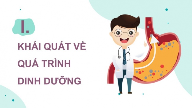 Soạn giáo án điện tử sinh học 11 CTST Bài 8: Dinh dưỡng và tiêu hóa ở động vật