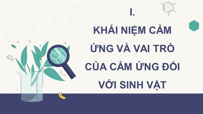 Soạn giáo án điện tử sinh học 11 CTST Bài 14: Khái quát về cảm ứng ở sinh vật