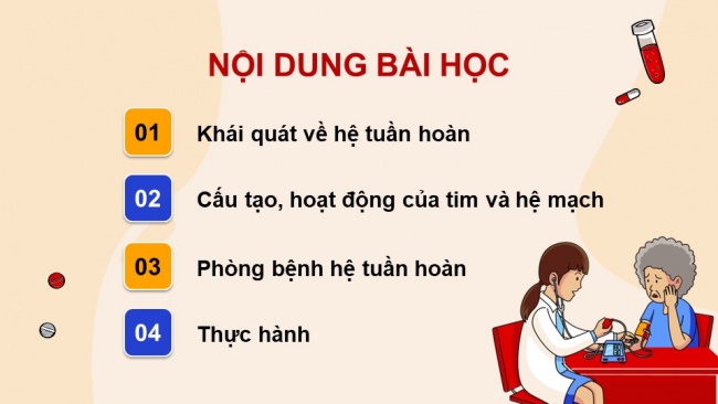 Soạn giáo án điện tử sinh học 11 Cánh diều Bài 8: Hệ tuần hoàn ở động vật (P1)