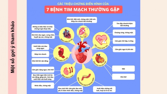 Soạn giáo án điện tử sinh học 11 Cánh diều  Bài 8: Hệ tuần hoàn ở động vật (P2)