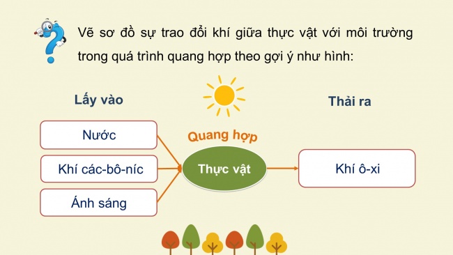 Soạn giáo án điện tử khoa học 4 cánh diều Bài 13: Nhu cầu sống của thực vật và chăm sóc cây trồng (P2)