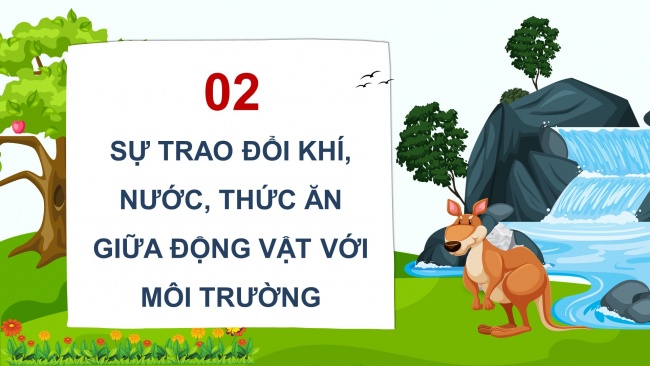 Soạn giáo án điện tử khoa học 4 cánh diều Bài 14: Nhu cầu sống của động vật và chăm sóc vật nuôi (P2)