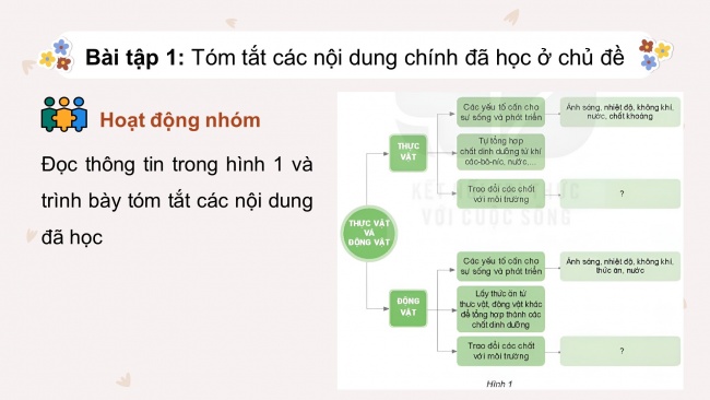 Soạn giáo án điện tử khoa học 4 KNTT Bài 18: Ôn tập chủ đề thực vật và động vật