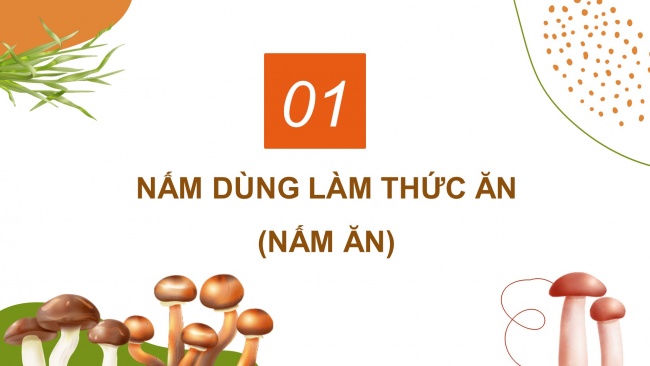 Soạn giáo án điện tử khoa học 4 KNTT Bài 20: Nấm ăn và nấm trong chế biến thực phẩm