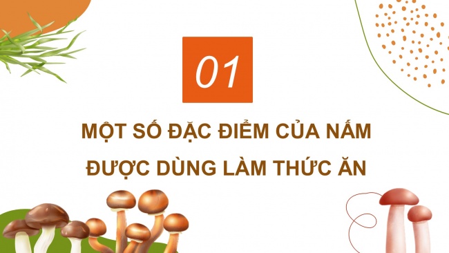 Soạn giáo án điện tử khoa học 4 CTST Bài 20: Nấm ăn và nấm men trong đời sống