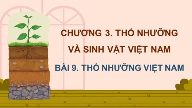 Soạn giáo án điện tử Địa lí 8 KNTT Bài 9: Thổ nhưỡng Việt Nam