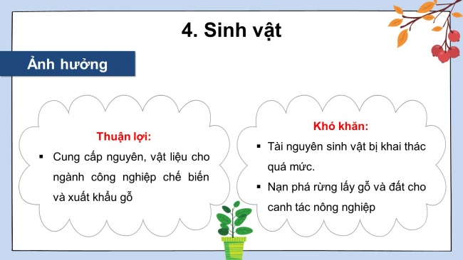 Soạn giáo án điện tử địa lí 11 KNTT Bài 11: Vị trí địa lí, điều kiện tự nhiên, dân cư và xã hội khu vực Đông Nam Á (P2)