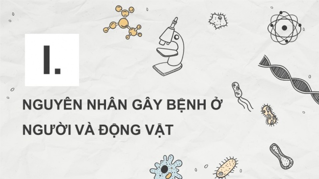 Soạn giáo án điện tử sinh học 11 KNTT Bài 12: Miễn dịch ở người và động vật