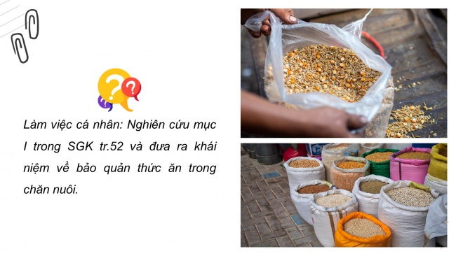 Soạn giáo án điện tử công nghệ chăn nuôi 11 KNTT Bài 9: Bảo quản thức ăn chăn nuôi