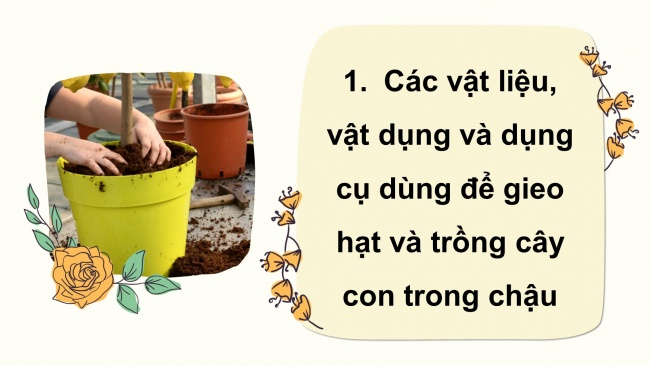 Soạn giáo án điện tử công nghệ 4 cánh diều Bài 5: Gieo hạt và trồng cây con trong chậu