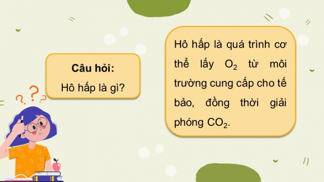 Soạn giáo án điện tử sinh học 11 CTST Bài 9: Hô hấp ở động vật