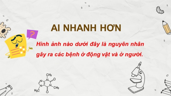 Soạn giáo án điện tử sinh học 11 CTST Bài 12: Miễn dịch ở động vật và người