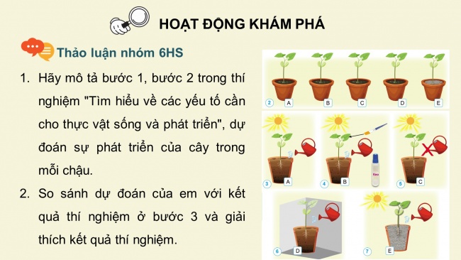 Soạn giáo án điện tử khoa học 4 cánh diều Bài 13: Nhu cầu sống của thực vật và chăm sóc cây trồng (P1)