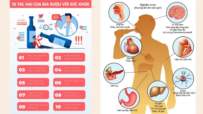 Soạn giáo án điện tử sinh học 11 Cánh diều  Bài 8: Hệ tuần hoàn ở động vật (P2)