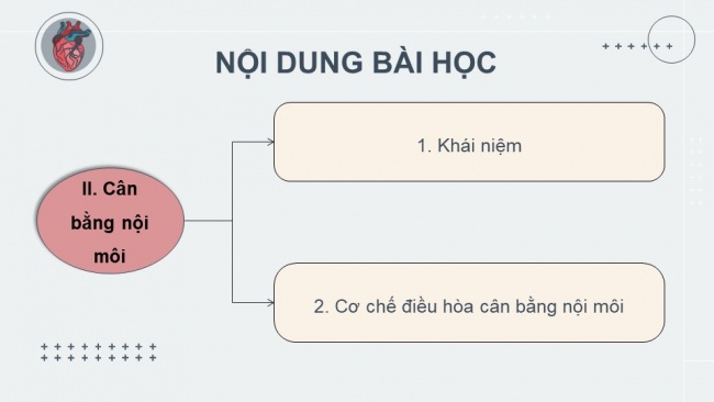 Soạn giáo án điện tử sinh học 11 Cánh diều Bài 10: Bài tiết và cân bằng nội môi