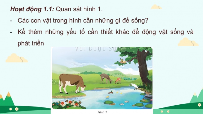 Soạn giáo án điện tử khoa học 4 KNTT Bài 16: Động vật cần gì để sống?