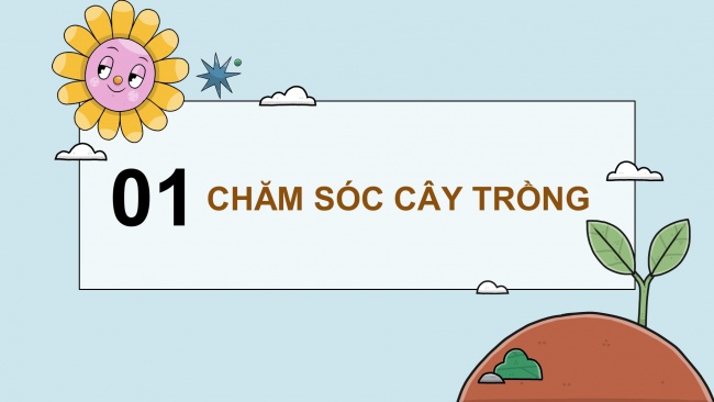 Soạn giáo án điện tử khoa học 4 KNTT Bài 17: Chăm sóc cây trồng, vật nuôi