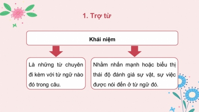 Soạn giáo án điện tử Ngữ văn 8 KNTT Bài 6 TH tiếng Việt: Trợ từ