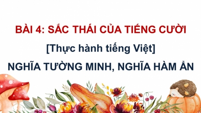 Soạn giáo án điện tử Ngữ văn 8 CTST Bài 4 TH tiếng Việt: Nghĩa tường minh và nghĩa hàm ẩn của câu; Từ ngữ toàn dân và từ ngữ địa phương